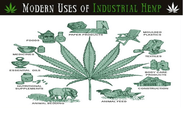 Hemporium-The-Global-Benefits-of-HEMP-Tony-Budden