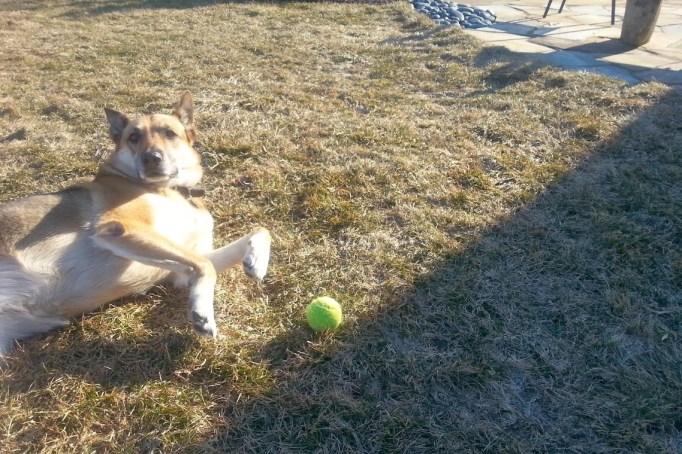 Early Spring 2014 belly up