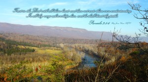 In honor of the Bundy family, Nevada USA