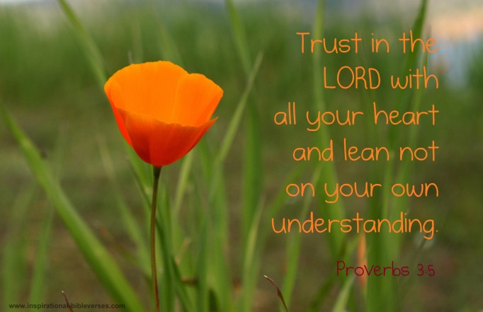Proverbs 3:5-6