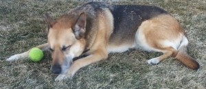 Squinting early Spring 2014crop