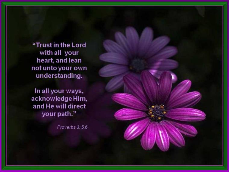 trust-in-the-lord-proverbs-3-5-6