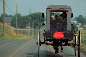Amish buggy