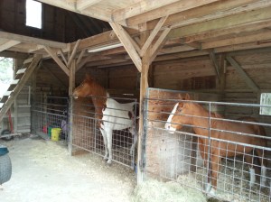 ATT_1418389400437_20141208_092140