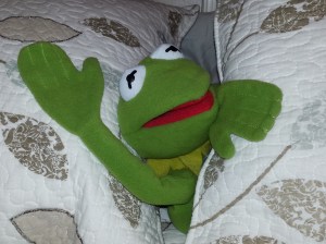 Camper mascot Kermit the Frog here!