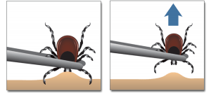 ehp_121-a120_g003-300x133