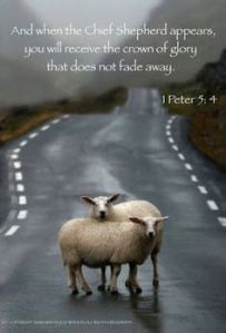 1 Peter 5:4, crown, glory, submit, His will, crown of glory, thy will be done, purpose, suffering, hope, Jesus Christ, reward, heaven