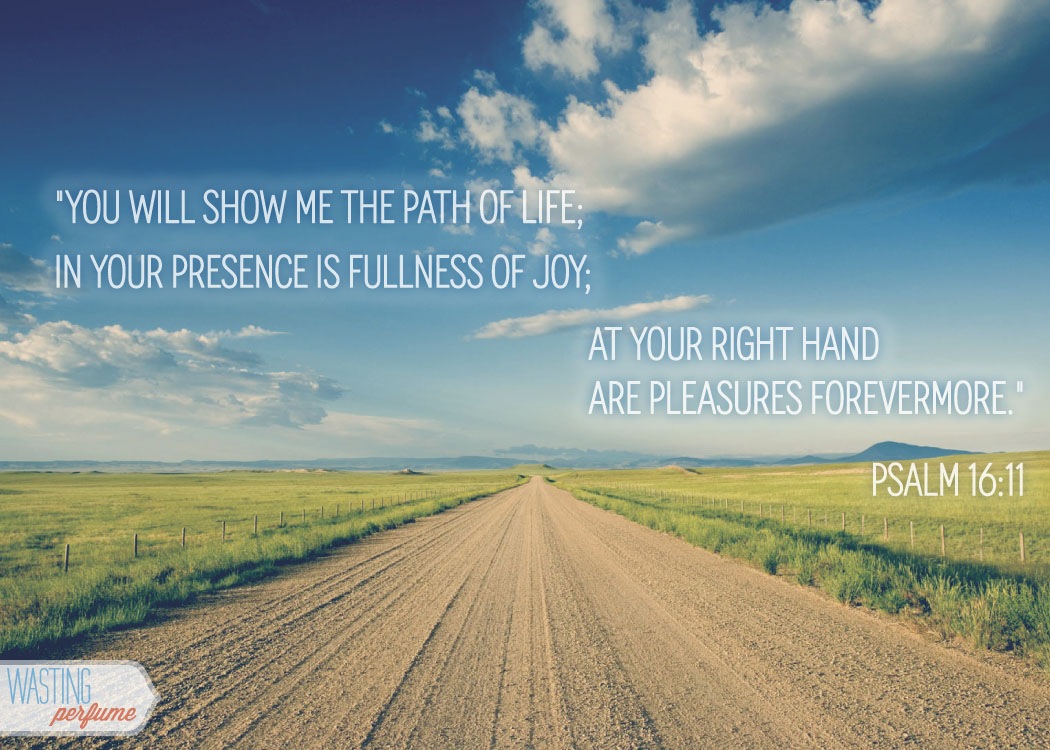 psalm 16, psalm 16:11, living life to the fullest, carpe diem, seize the day, peace, contentment