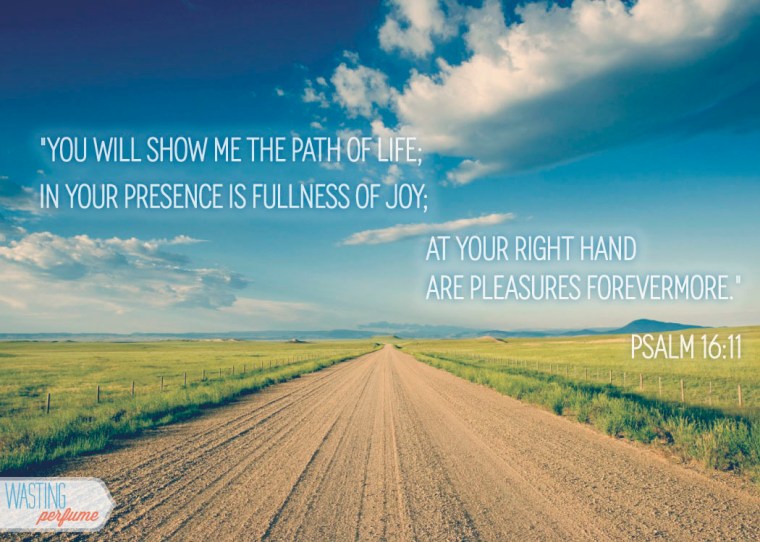 psalm 16, psalm 16:11, living life to the fullest, carpe diem, seize the day, peace, contentment