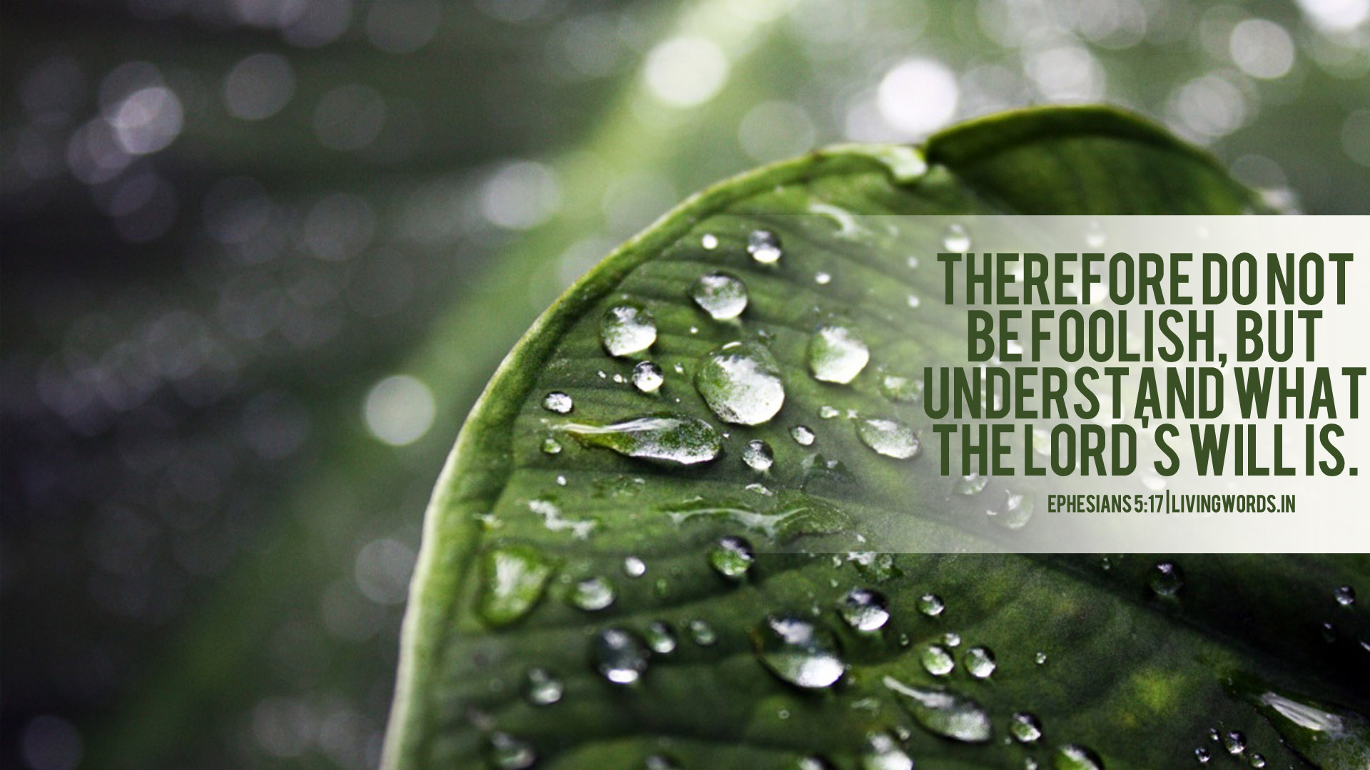 ephesians 5, 5.17, ephesians, Lord, will, my life, let go, let God