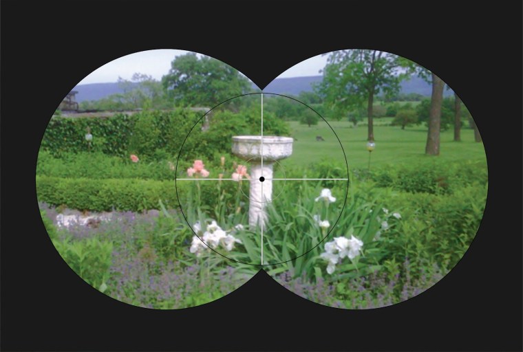 Binoculars, garden, view, focus, Christian, birdbath, flowers, iris, landscape, trees, scene