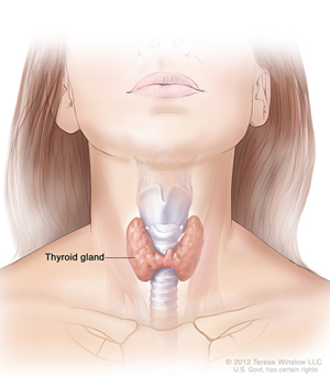 hyperthyroidism, hypothyroidism, multinodule, goiter, seizures, endocrinologist, Mayo Clinic, neurologist, diagnosis